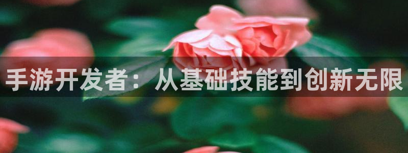 雷火电竞报数：手游开发者：从基础技能到创新无限