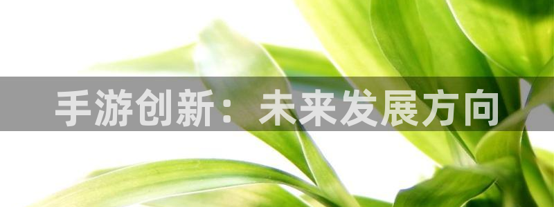 28大神官方版ios：手游创新：未来发展方向