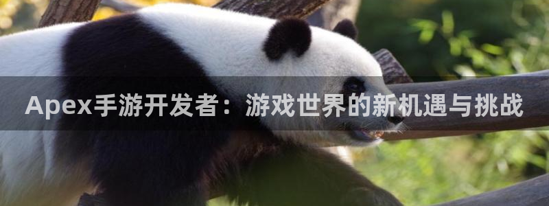 28大神下载苹果：Apex手游开发者：游戏世界的新机遇与挑战
