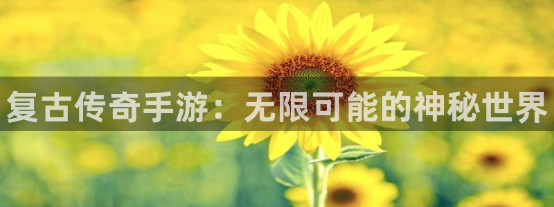 大神吧pc28在线预测网：复古传奇手游：无限可能的神秘世界