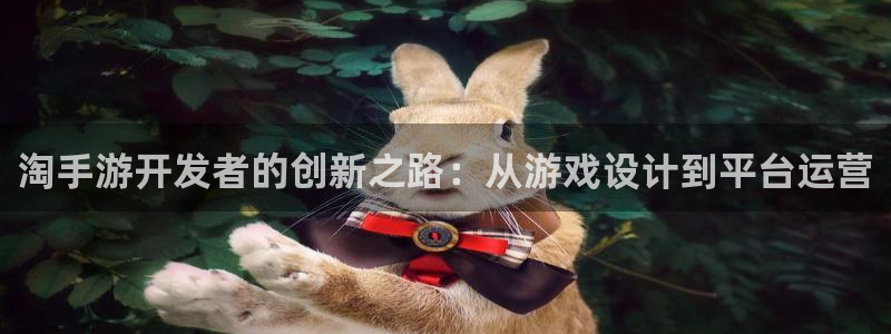 雷火电竞加拿大在线预测：淘手游开发者的创新之路：从游戏设计到