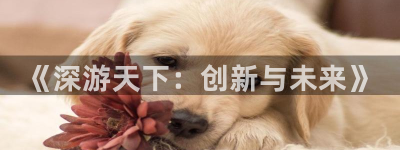 28大神2018版：《深游天下：创新与未来》