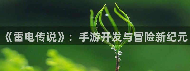 28大神：《雷电传说》：手游开发与冒险新纪元