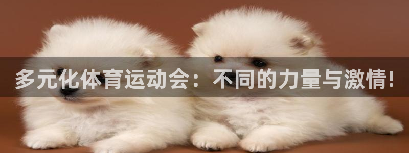 必一运动体育
