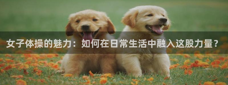 必一运动体育