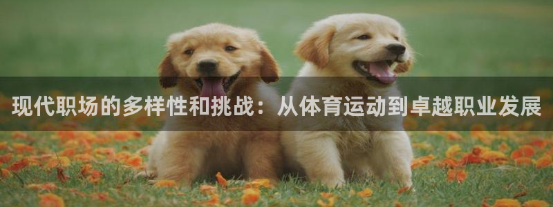 b体育必一运动官网