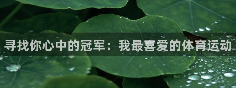 必一运动bsport体育
