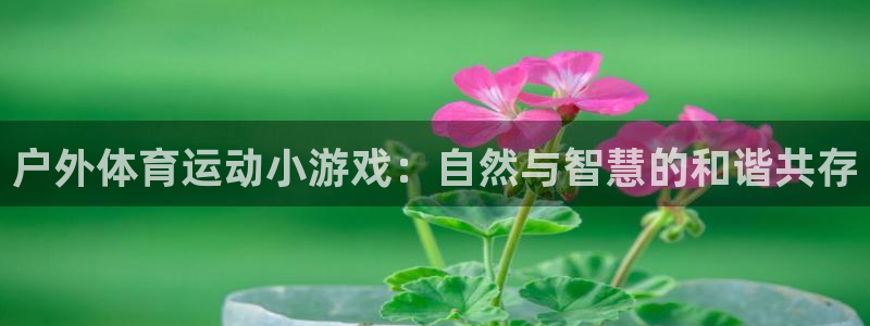 必一运动体育官网