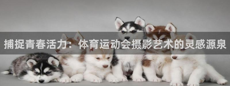 必一运动体育官网入口