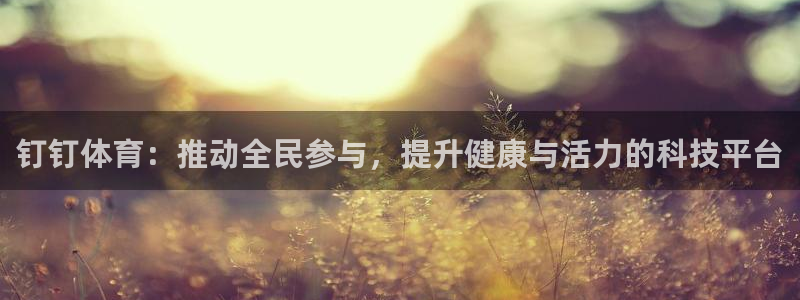 必一运动体育官网入口