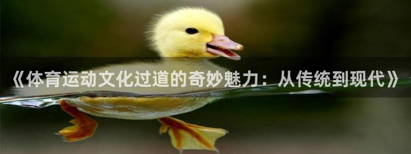 必一运动bsport体育