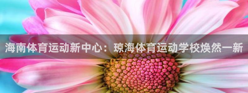 必一运动体育官网