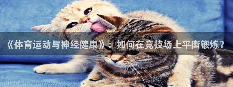 必一运动体育官网