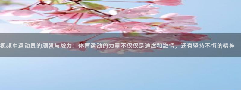 b体育必一运动官网