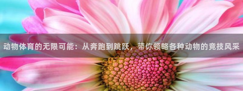 必一运动体育官网
