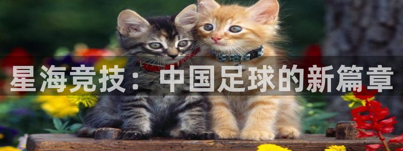必一运动体育官网