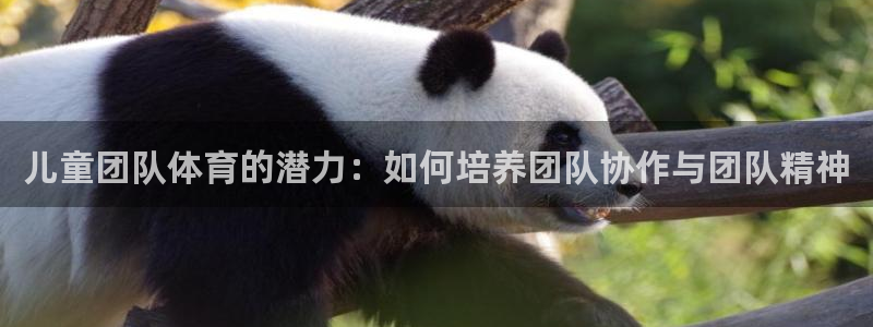 必一运动bsport体育