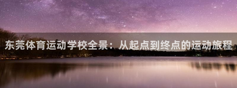 b体育必一运动官网