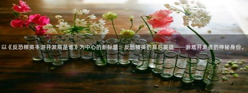28大神苹果版下载：以《反恐精英手游开发商是谁》为中心的新标
